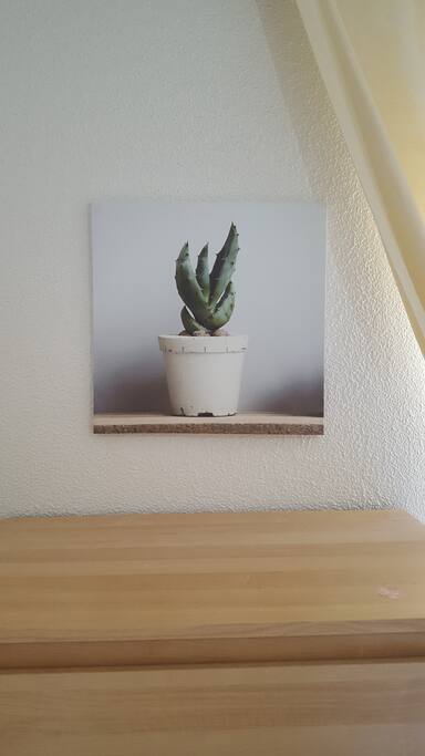 picture1