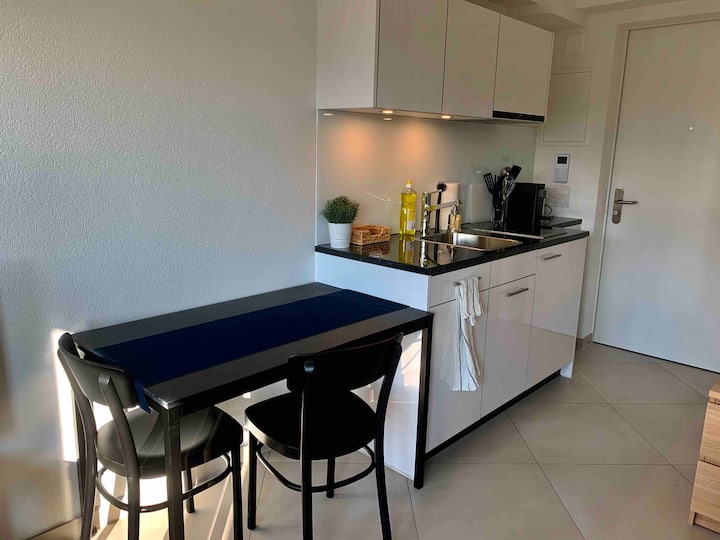 10 Best LongTerm Rentals In Zürich, Switzerland Updated 2024 Trip101