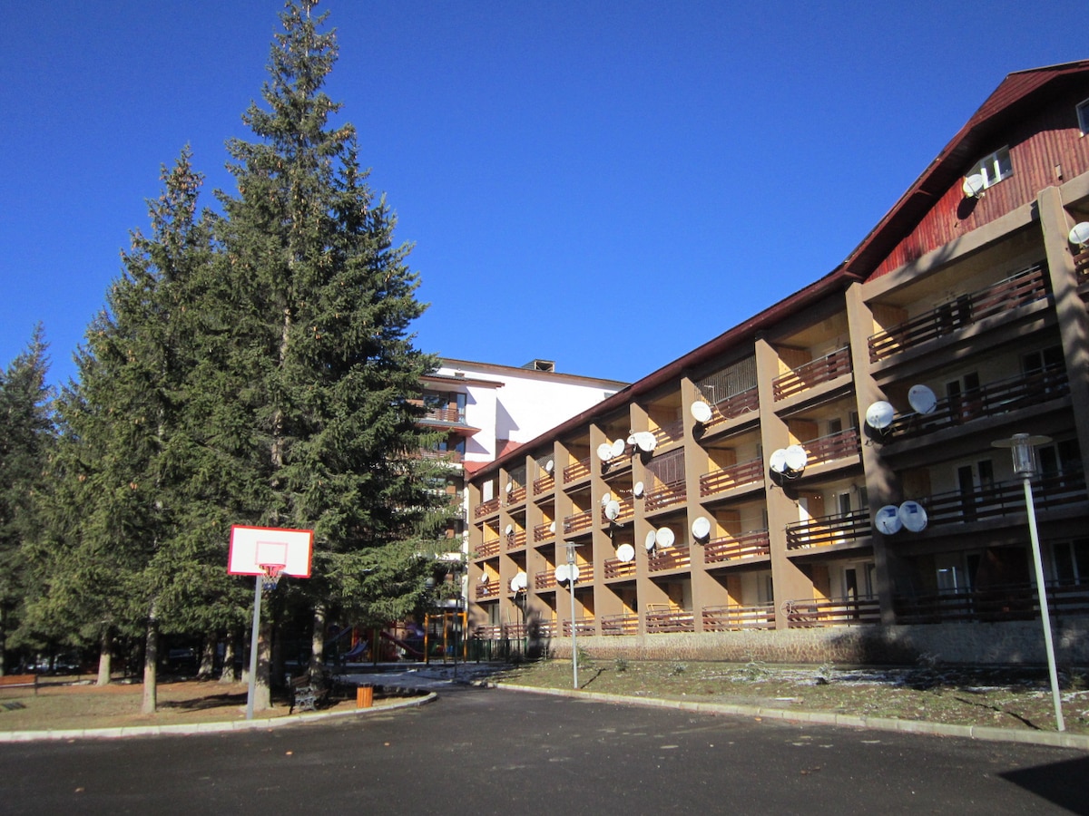 The exterior of the accommodation displays a multi-story building with multiple balconies. Several satellite dishes are mounted on the façade. A basketball court is located in the foreground, surrounded by tall pine trees, against a clear blue sky.