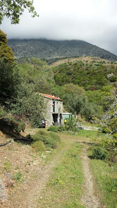 traditional farm house