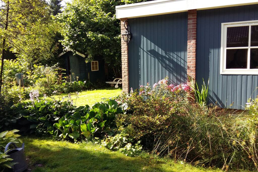 Tuin,