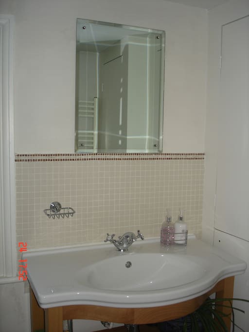 Modern Shower Room