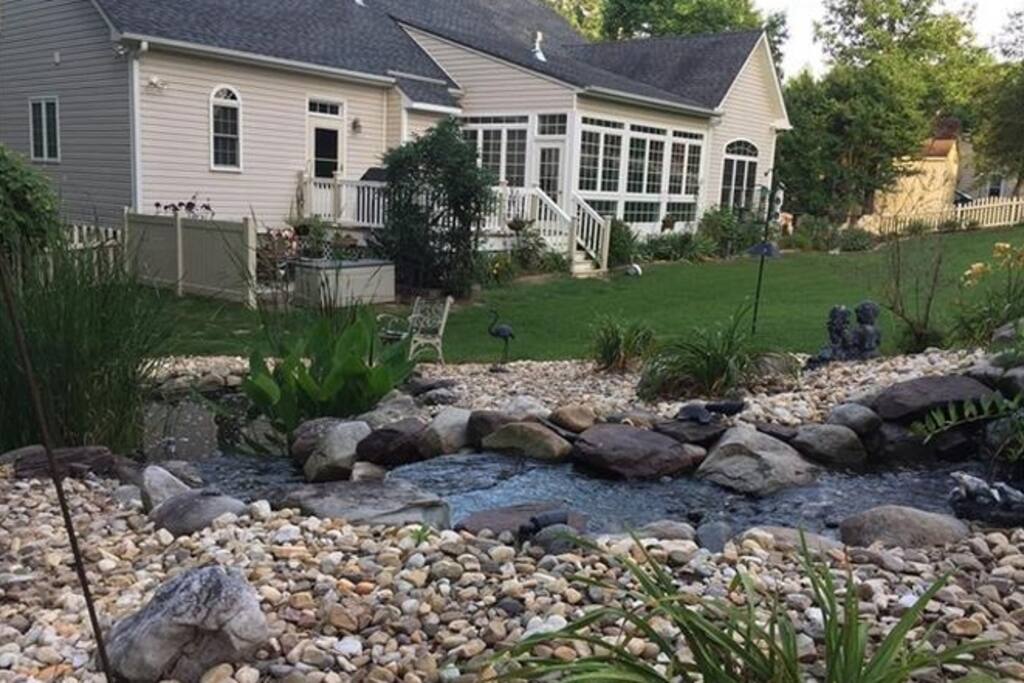 Back yard.