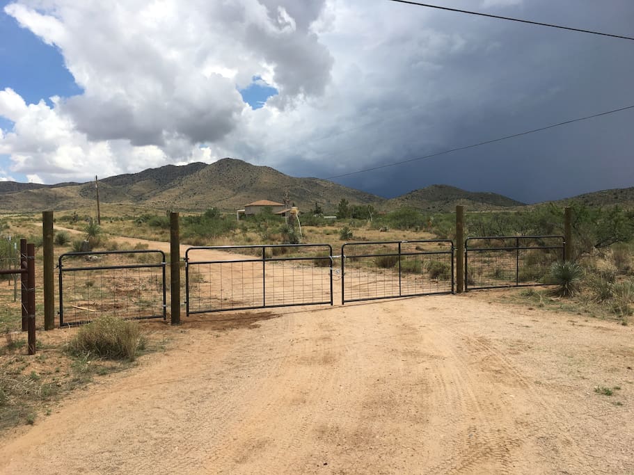 Front Gate/Driveway
