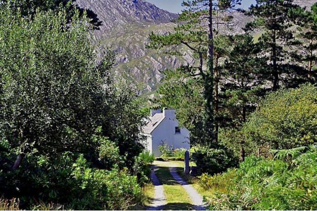 First view of cottage
