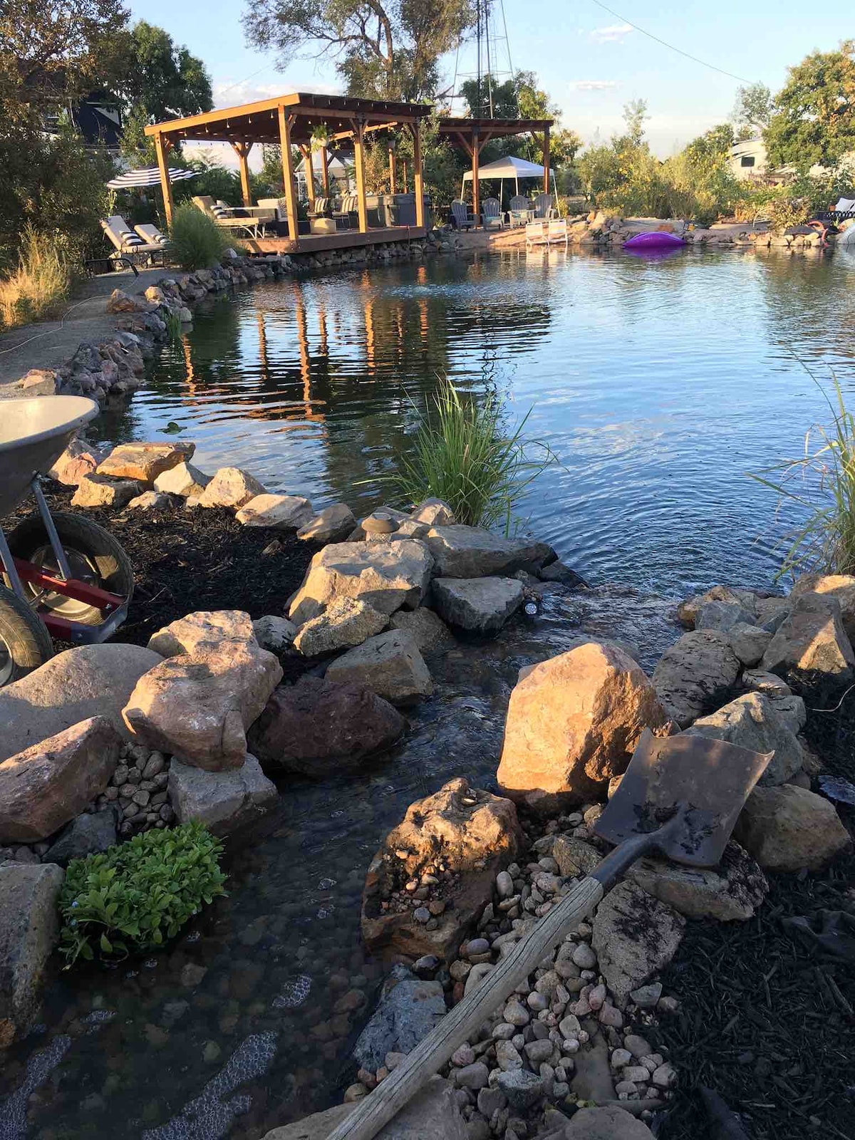 The image features a natural swimming pond bordered by smooth rocks and lush grasses. A shaded deck made of wood is visible in the background, offering seating areas for relaxation. A wheelbarrow and shovel are positioned nearby, hinting at ongoing landscaping efforts.