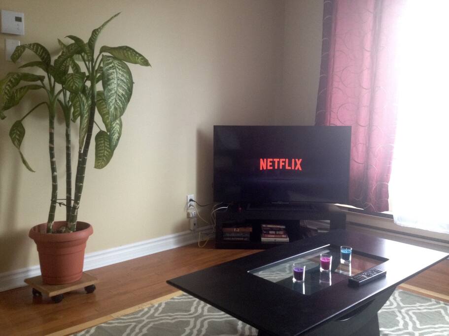 Living room/salon (netflix)