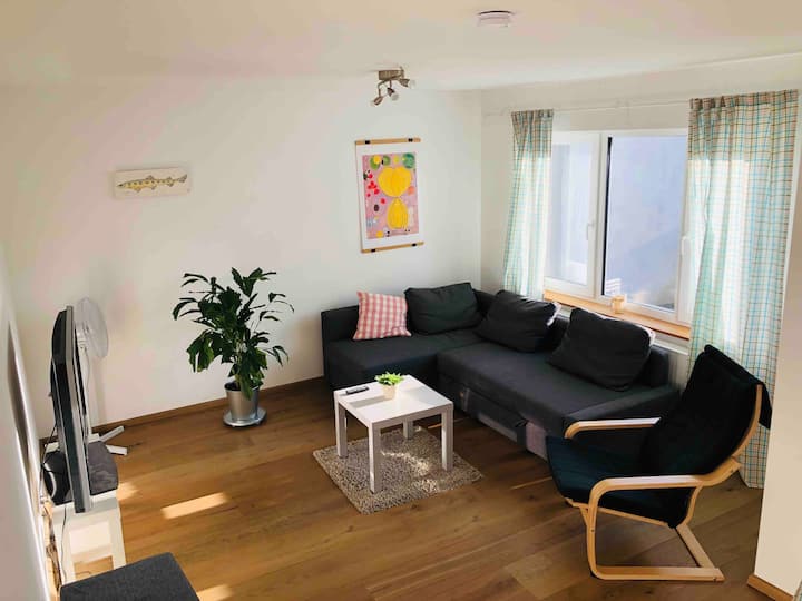 500 Ferienwohnungen In Ravensburg Wohnungen Und Mehr Airbnb