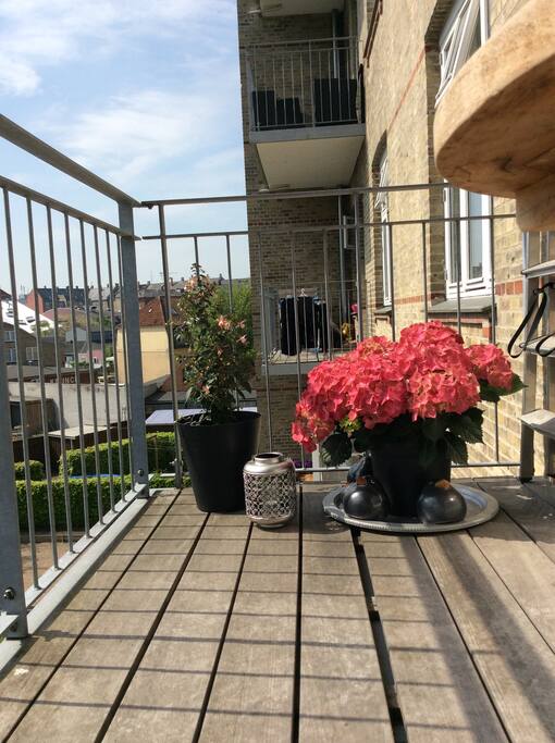 View from the balcony to the garden☀️