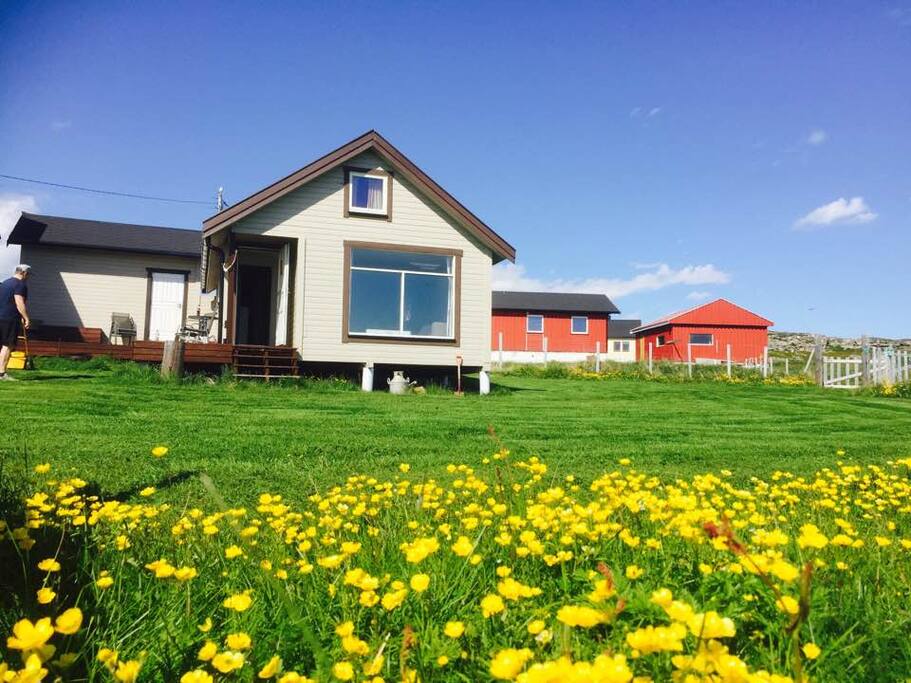 Arctic house by the sea