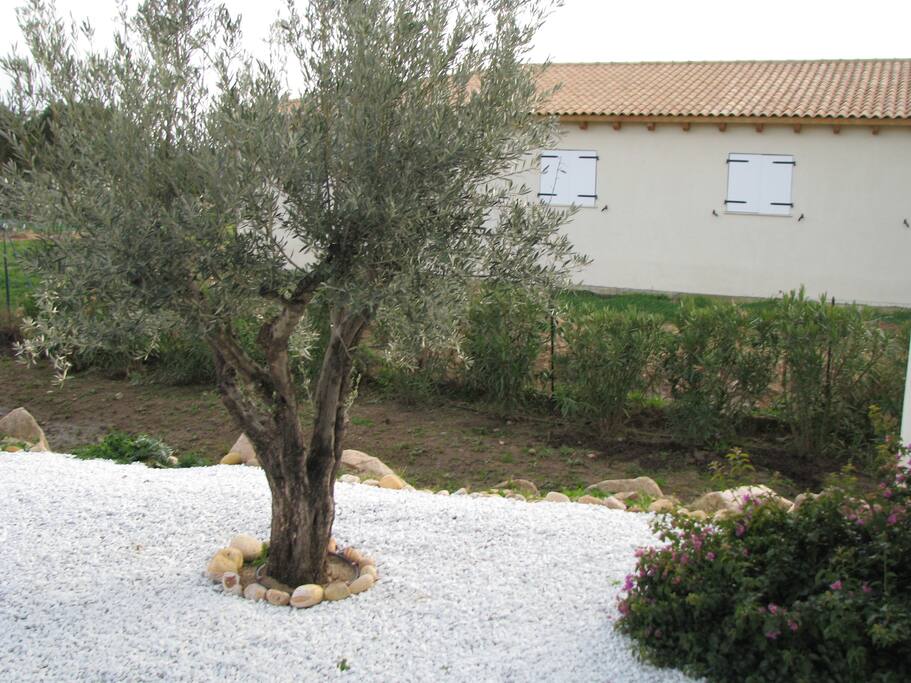 Terrasse Sud