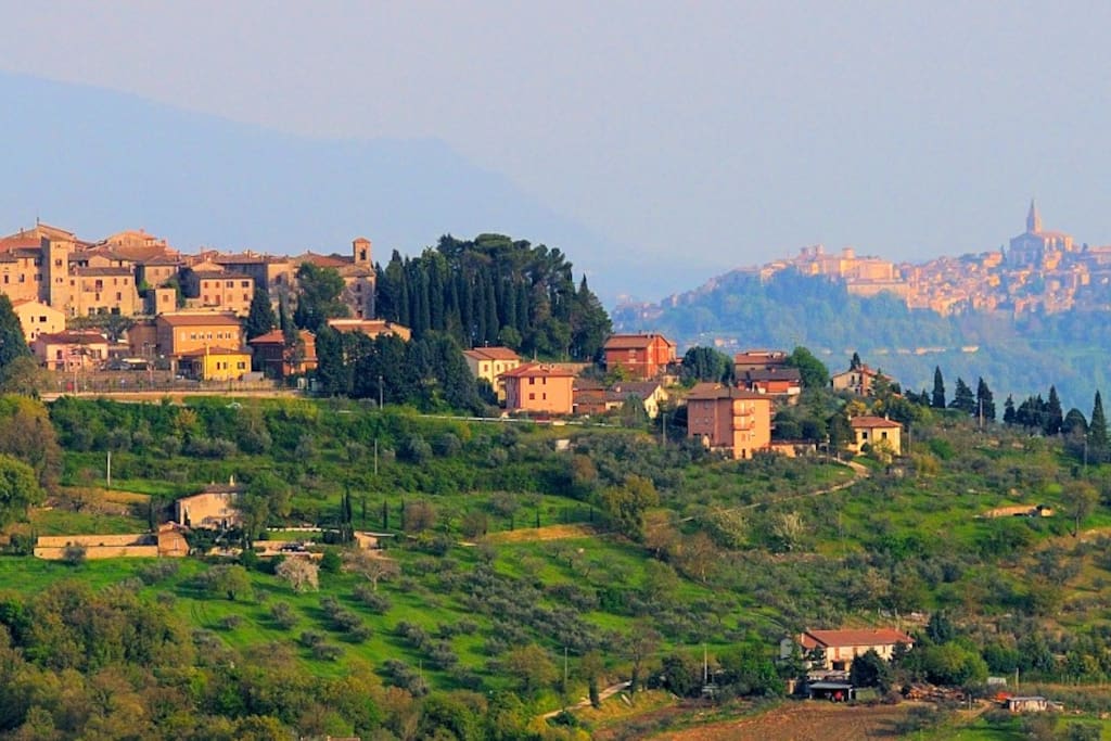 View from estate on Monte Castello Vibio