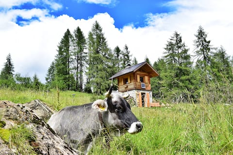 Baita del Toma - Chalet in the Dolomites