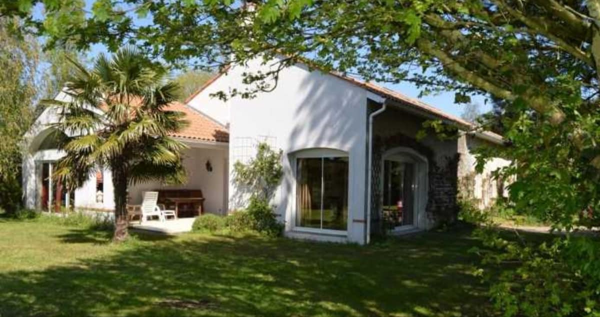 A modern house is surrounded by lush greenery, featuring large windows that allow for ample natural light. The outdoor area includes a patio with seating under the shade of trees, creating a peaceful outdoor retreat.