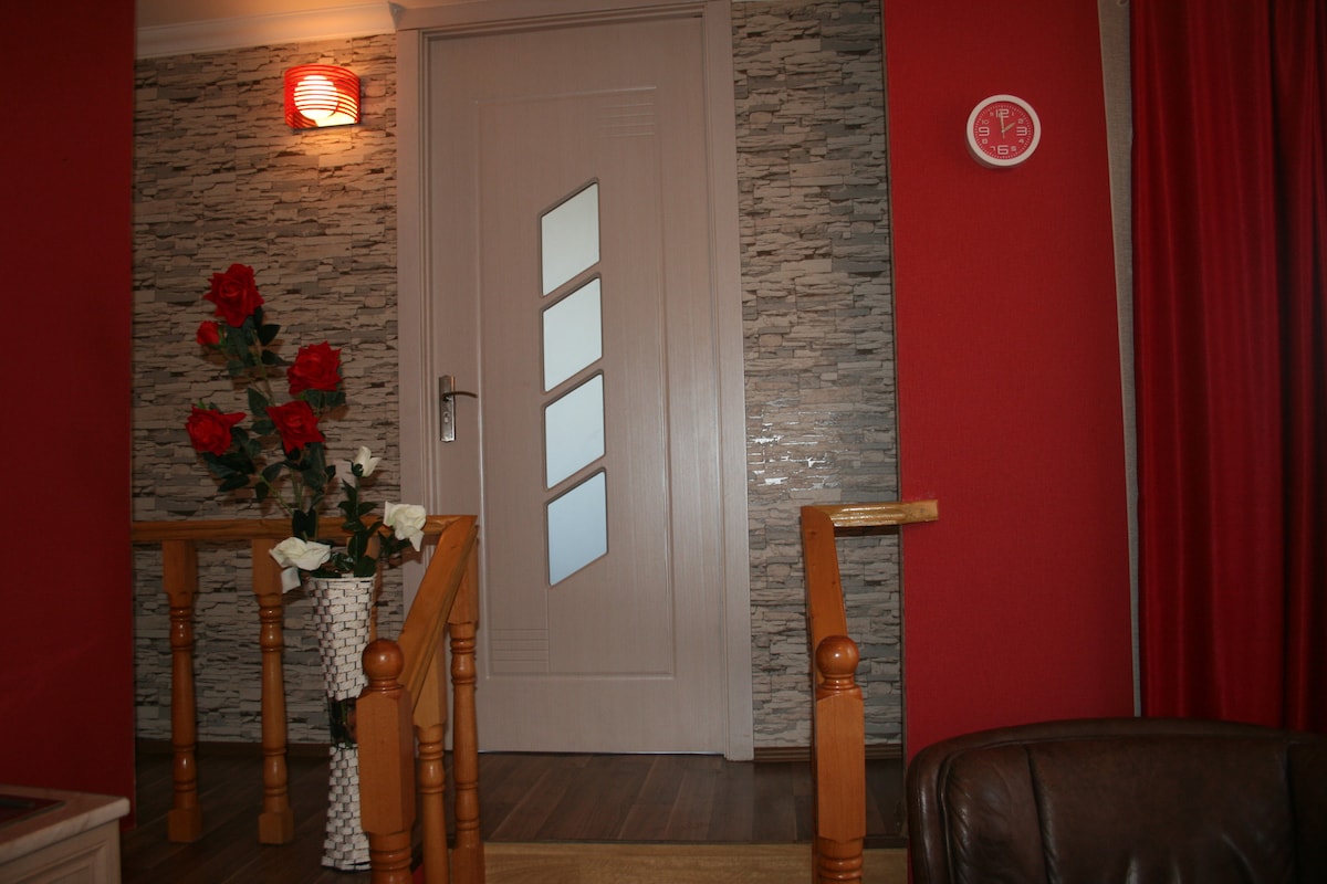 A welcoming entryway is featured, showcasing a door with unique glass paneling. The walls are adorned with a textured stone design and red accents. A decorative vase filled with artificial roses adds a touch of color, while curtains frame the space near a wall clock.