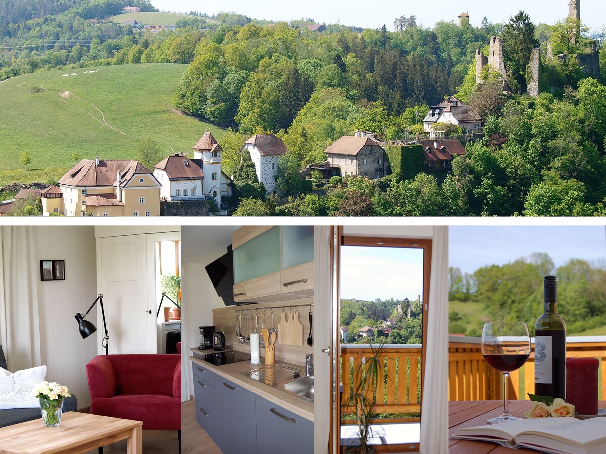 Ferienwohnung Passau Über den Dächern von Hals Apartments for Rent