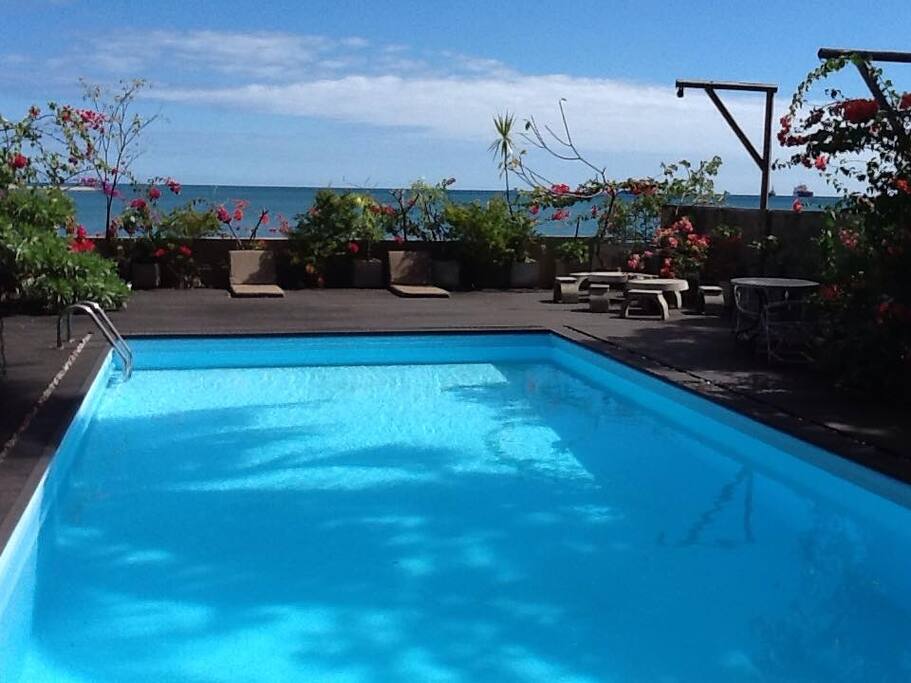 The swimming pool
