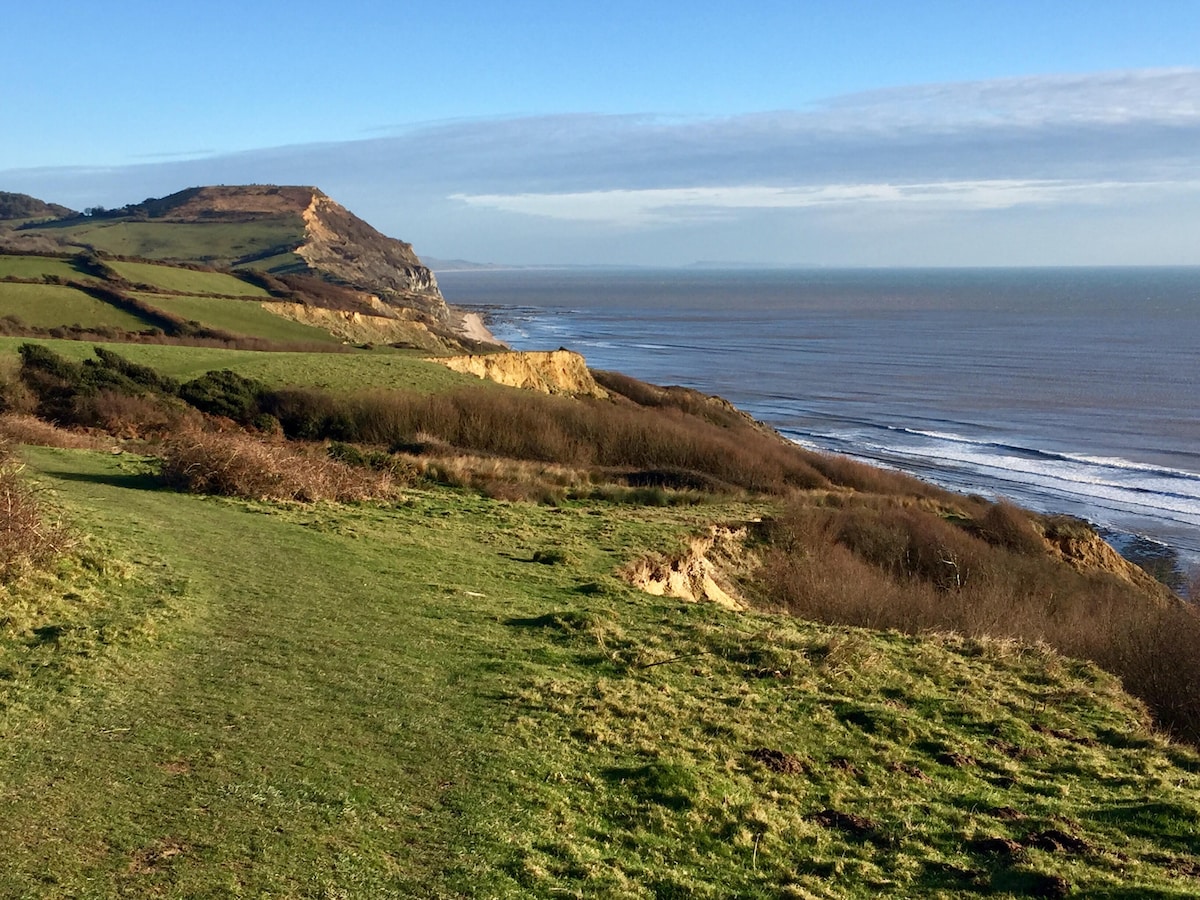 A sweeping coastal scene captures the gently rolling hills leading down to the shoreline. The landscape features lush green grass and sparse shrubs, with sandy cliffs and calm waters stretching towards the horizon under a clear blue sky.