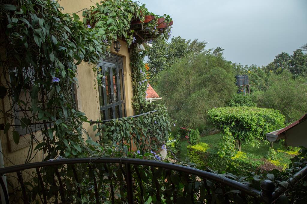 A view of the garden