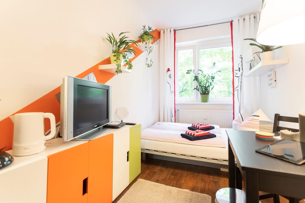 guest room with TV