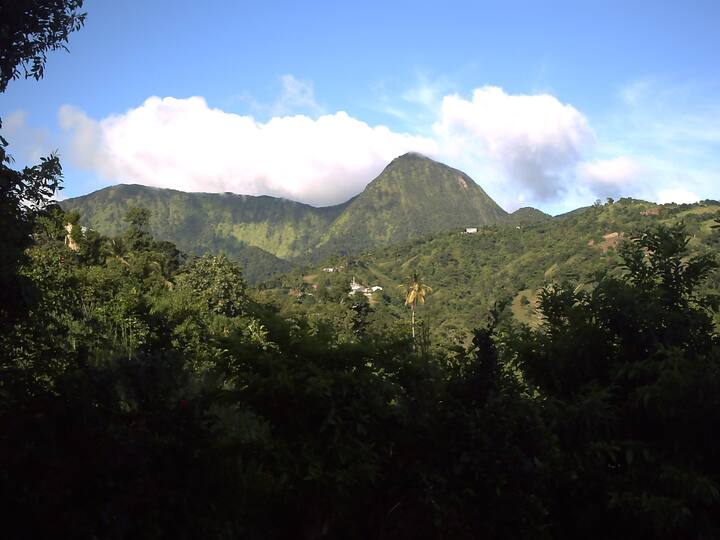 Carbet Mountains Vacation Rentals Homes Le Morne Vert Martinique Airbnb