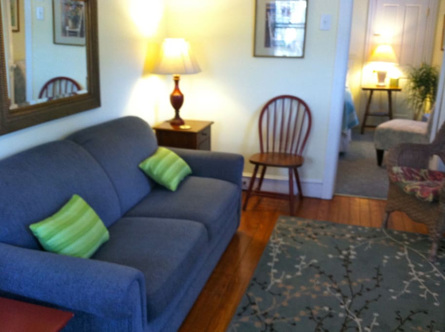 Garden Apartment Living Room with sofabed
