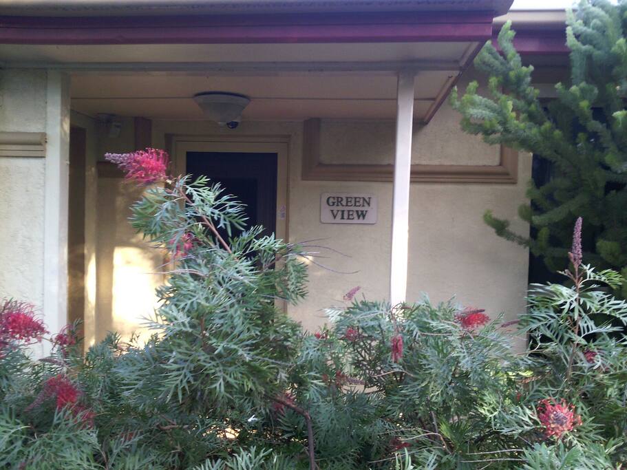 Native flora.