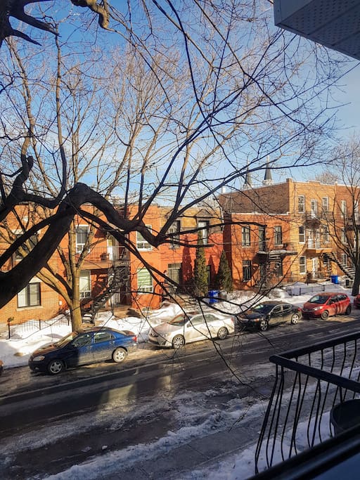 View from bedroom of beautiful street and the two steeples of the Catholic Church of Montréal