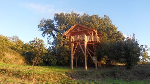Spa cabin perched 6 m high