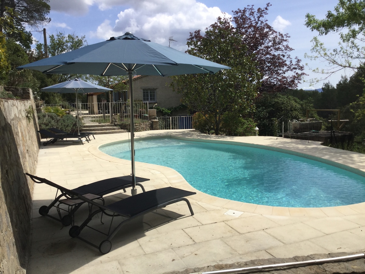 A private lagoon-style pool is framed by a spacious stone patio, offering lounge chairs and shaded umbrellas. Surrounding greenery adds a natural ambiance, while the gentle curve of the pool enhances the outdoor space's tranquility.