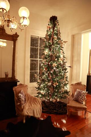 Legal Rental : Elegant Lower Garden District Home gallery image 5