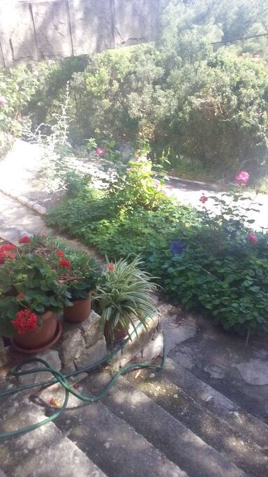 The view from the front door