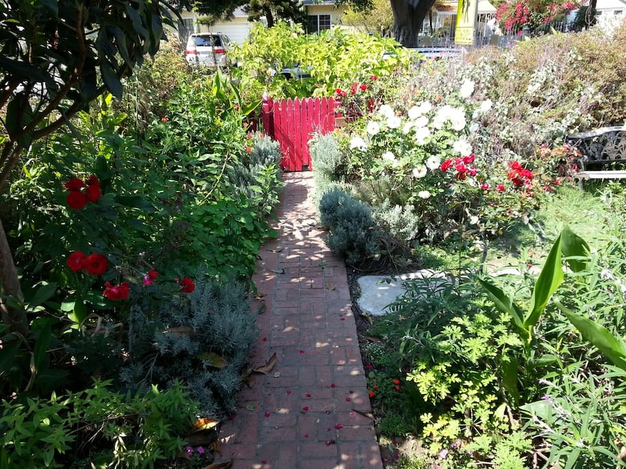 View from the front door showing the garden and yard.