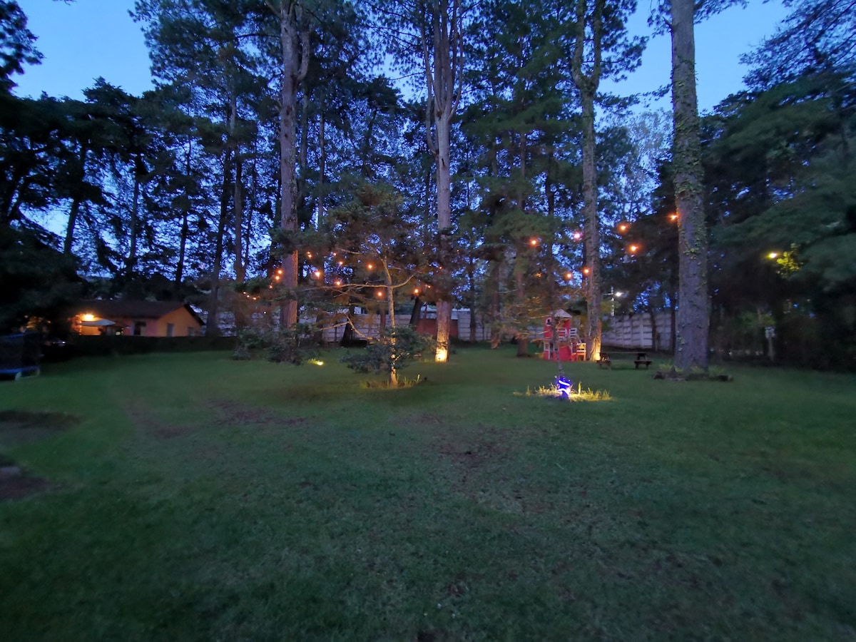 A spacious green lawn is surrounded by tall trees, softly illuminated by string lights. A sense of tranquility is conveyed, with vibrant landscaping visible in the evening light, enhancing the natural beauty of the area.