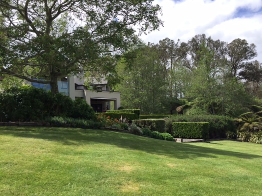 Part of our garden, looking back towards the house.