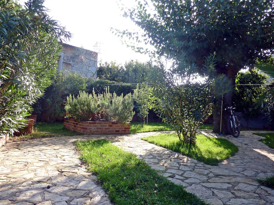 garden