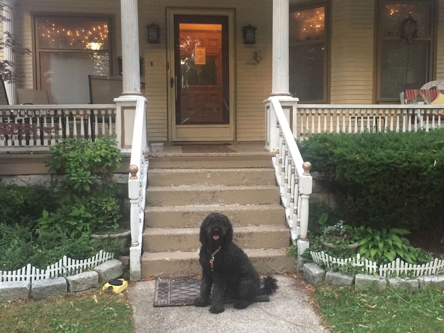 Yogi dog is our greeter. He does not come with the apt of course - he just likes to say Hi !