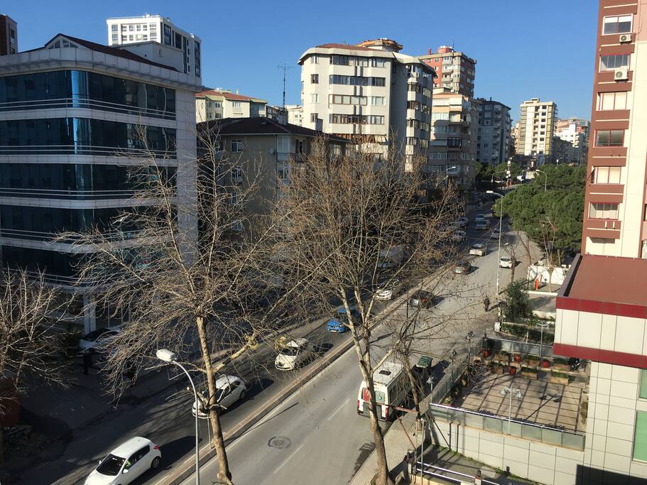 Street-Side View from the Living Room