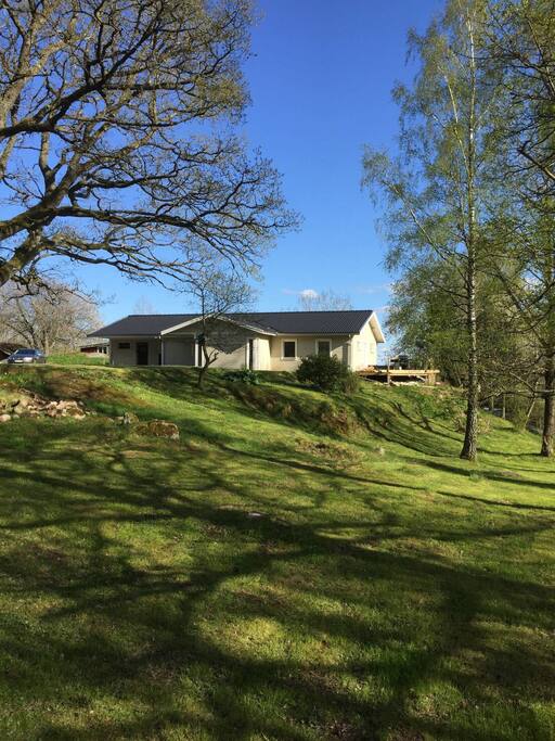 Late spring picture, a big beautiful lawn