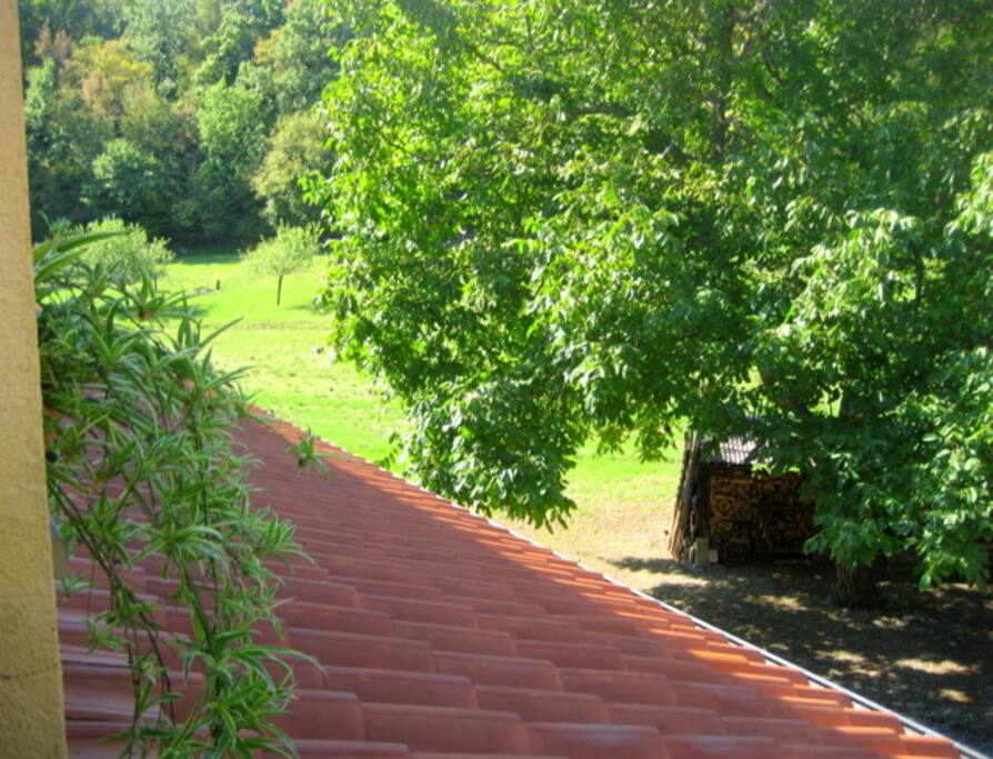 Terrazzino