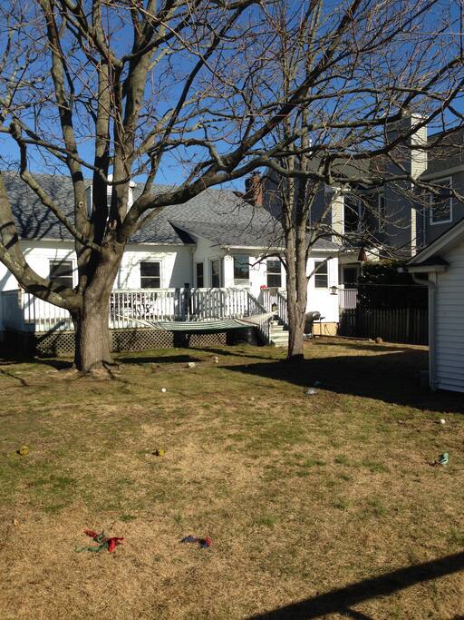 Shaded backyard graced with maple and chestnut trees -- exactly a hammock apart!