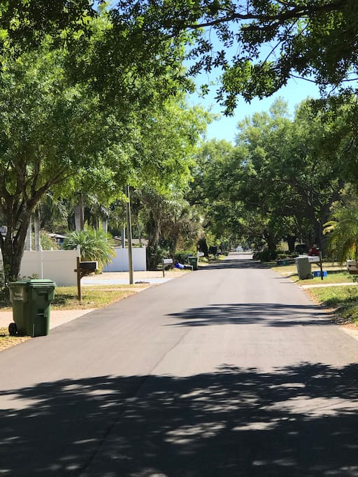 Quiet Street