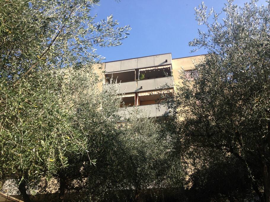... you find Casa Marcenaro ...