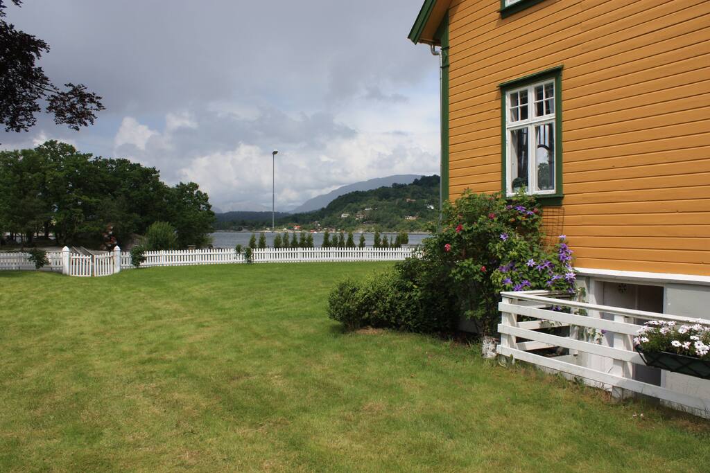 View from garden