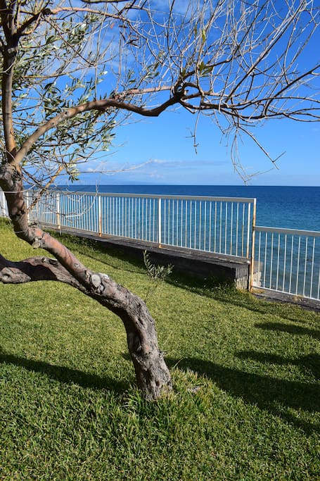 Garden by the sea!