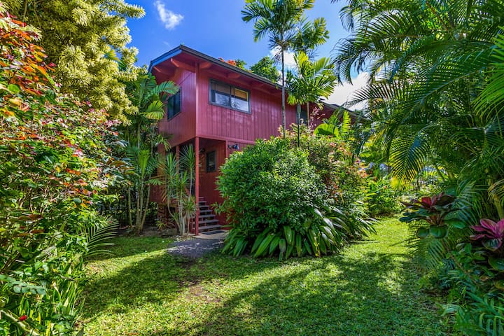 Pristine and Charming – Walk to Beach and Town