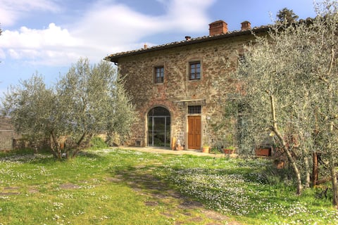 Agriturismo Casavecchia, l 'Olivo