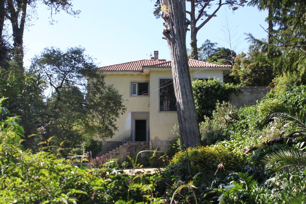 Front of the house