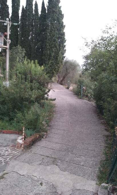 Ingresso alla proprietà attraverso cancello verde aperto e cipressi in vista