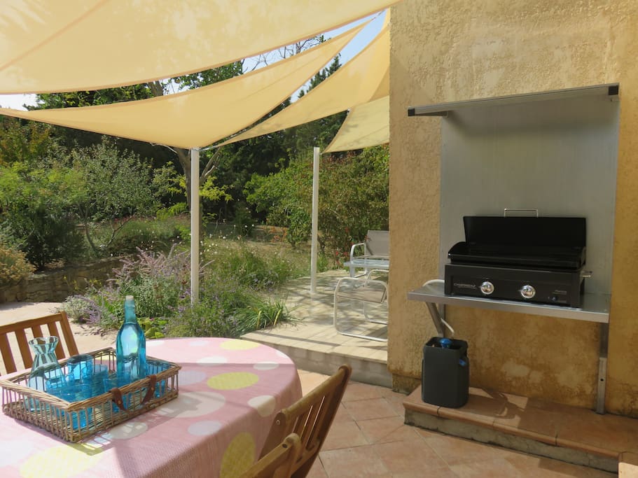 des repas inoubliables avec la plancha